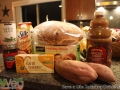 INVeg-Tofurkey-Drive-includes-2014