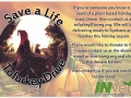 Tofurkey-Drive-2015