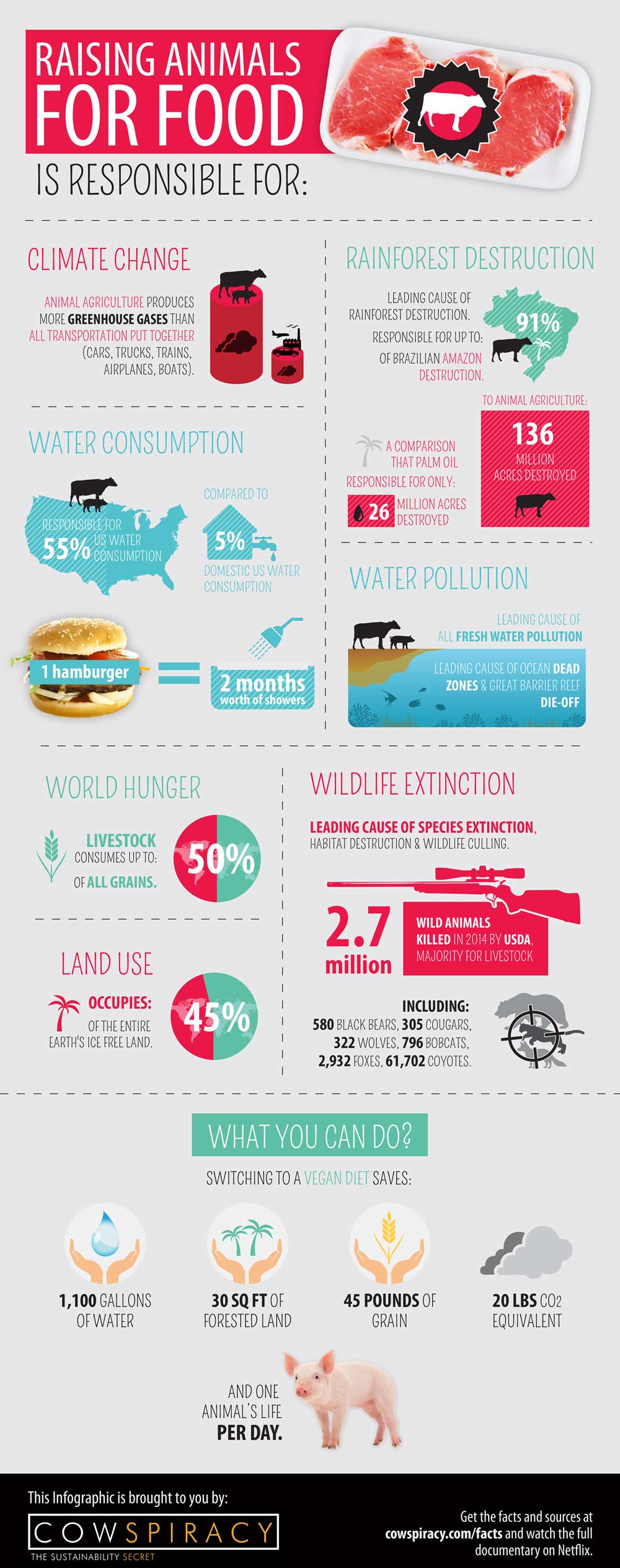 cowspriacy-infographic-2015